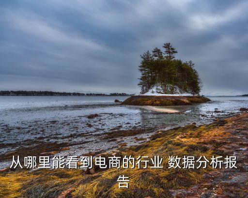 中國(guó)網(wǎng)購(gòu)市場(chǎng)數(shù)據(jù),2022年中國(guó)網(wǎng)購(gòu)市場(chǎng)數(shù)據(jù)