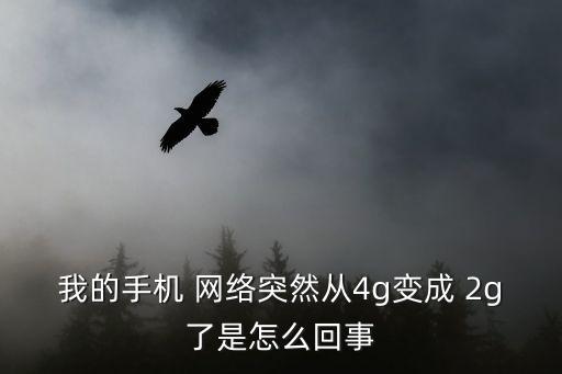我的手機 網(wǎng)絡突然從4g變成 2g了是怎么回事