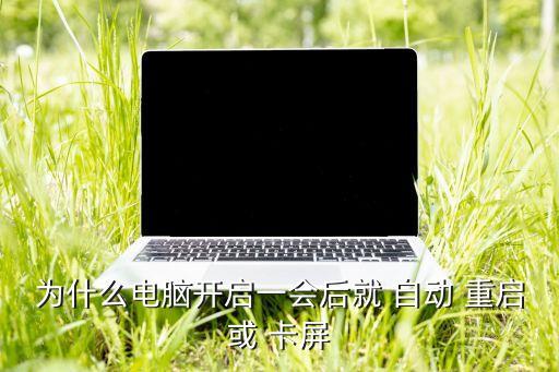 為什么電腦開啟一會后就 自動 重啟或 卡屏