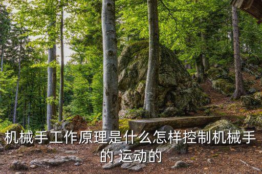 機(jī)器人運(yùn)動骨骼,骨骼機(jī)器人的高科技產(chǎn)物