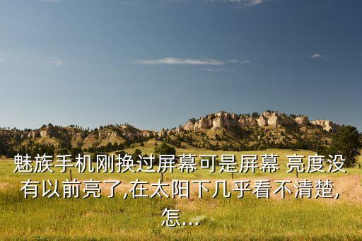 魅藍(lán)3自動(dòng)亮度,魅族手機(jī)制造公司成立于2003年3月