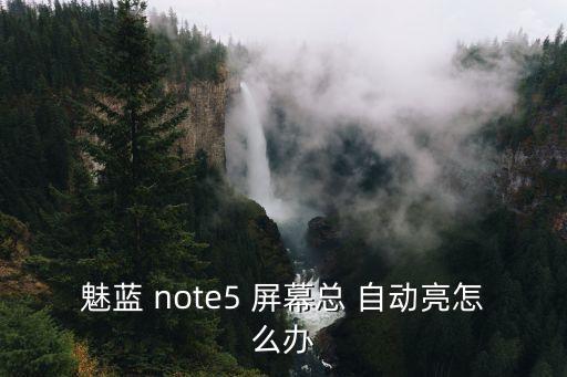 魅藍(lán) note5 屏幕總 自動(dòng)亮怎么辦
