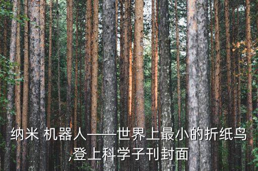 納米 機器人——世界上最小的折紙鳥,登上科學(xué)子刊封面