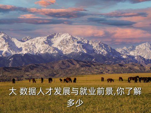 大 數(shù)據(jù)人才發(fā)展與就業(yè)前景,你了解多少