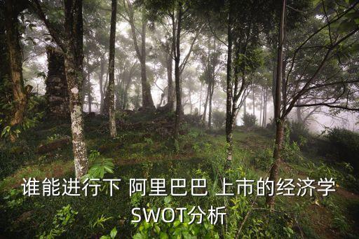阿里大數(shù)據(jù)   上市公司