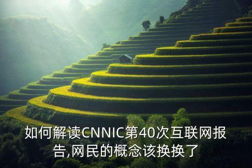 如何解讀CNNIC第40次互聯(lián)網(wǎng)報(bào)告,網(wǎng)民的概念該換換了