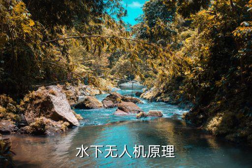 水質(zhì)自動(dòng)監(jiān)測(cè)機(jī)器人課程報(bào)告,水下無(wú)人機(jī)功能介紹詳解