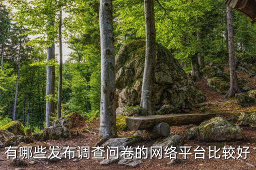 網(wǎng)上有沒有數(shù)據(jù)調(diào)查的視頻