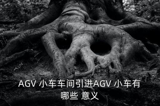 AGV 小車車間引進AGV 小車有哪些 意義