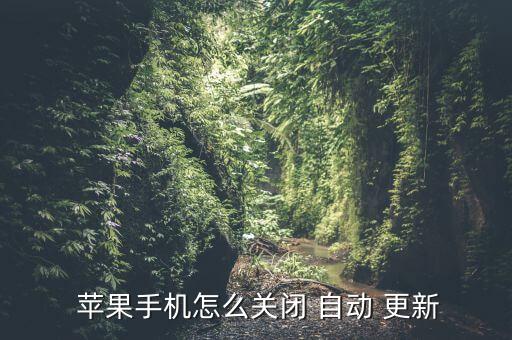  蘋果手機怎么關閉 自動 更新
