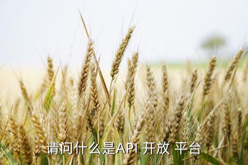 請問什么是API 開放 平臺