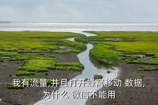 手機(jī)數(shù)據(jù)微信不能用怎么辦