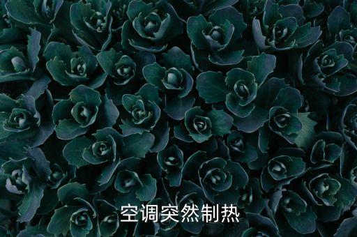  空調(diào)突然制熱