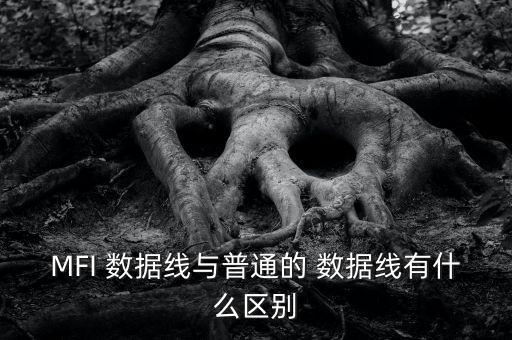 蘋果數(shù)據(jù)線mfi認(rèn)證