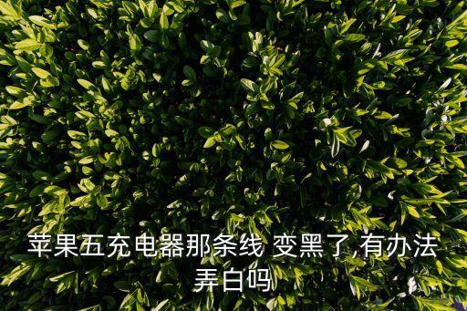 蘋果五充電器那條線 變黑了,有辦法弄白嗎