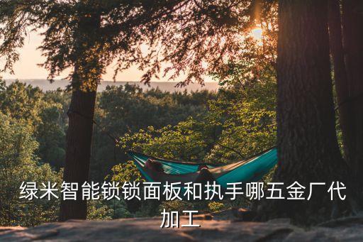  綠米智能鎖鎖面板和執(zhí)手哪五金廠代加工