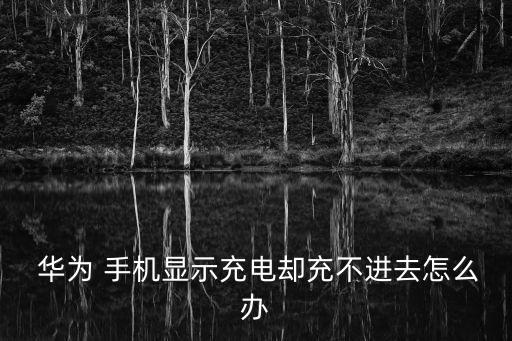  華為 手機(jī)顯示充電卻充不進(jìn)去怎么辦