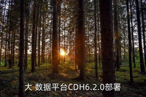 大 數(shù)據(jù)平臺CDH6.2.0部署