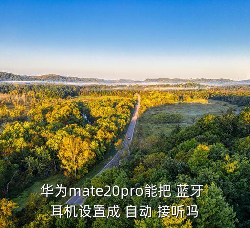 華為mate20pro能把 藍(lán)牙 耳機(jī)設(shè)置成 自動(dòng) 接聽嗎