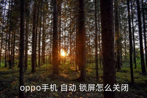  oppo手機(jī) 自動(dòng) 鎖屏怎么關(guān)閉
