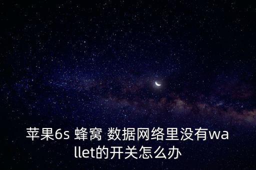 iphone6s蜂窩數(shù)據(jù)設(shè)置,Iphone6S設(shè)置呼叫轉(zhuǎn)移