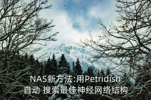 NAS新方法:用Petridish自動 搜索最佳神經(jīng)網(wǎng)絡結構
