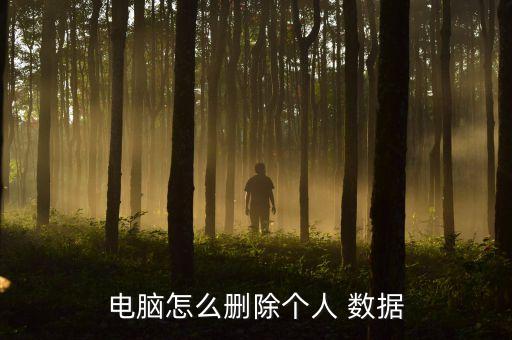 電腦怎么刪除個人 數(shù)據(jù)