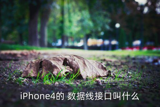 iPhone4的 數(shù)據(jù)線接口叫什么