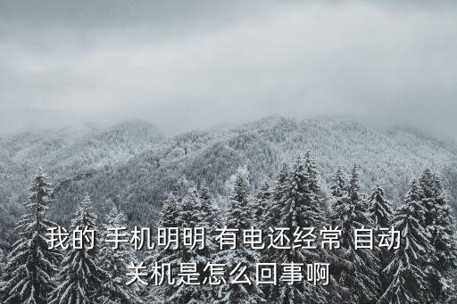 我的 手機(jī)明明 有電還經(jīng)常 自動 關(guān)機(jī)是怎么回事啊