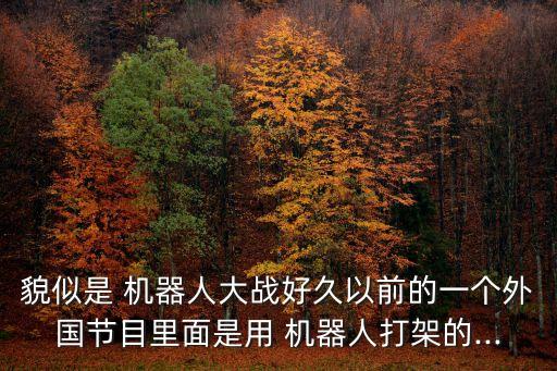 貌似是 機(jī)器人大戰(zhàn)好久以前的一個外國節(jié)目里面是用 機(jī)器人打架的...