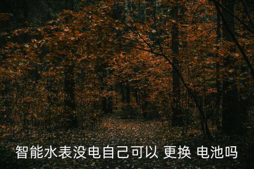 自動更換電池,筆記本電腦關機后怎么取電池?解決方法如下