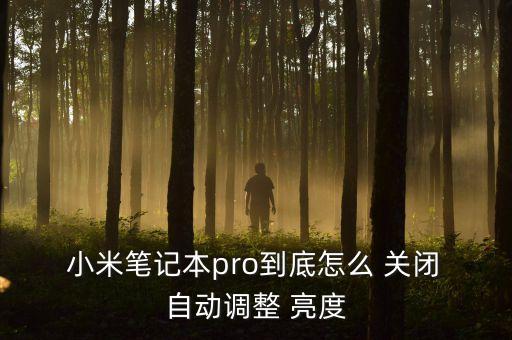  小米筆記本pro到底怎么 關(guān)閉 自動調(diào)整 亮度