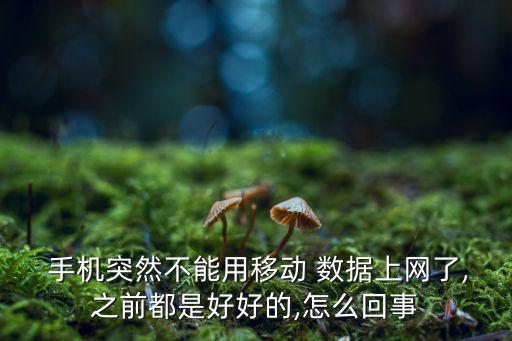  手機(jī)突然不能用移動(dòng) 數(shù)據(jù)上網(wǎng)了,之前都是好好的,怎么回事