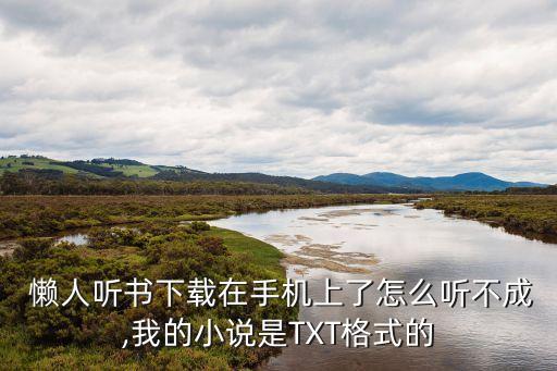 懶人聽書用數(shù)據(jù)聽不了,為什懶人聽書一直獲取數(shù)據(jù)失敗