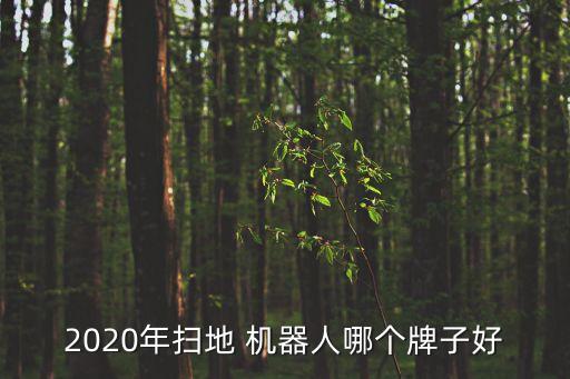 2020年掃地 機器人哪個牌子好