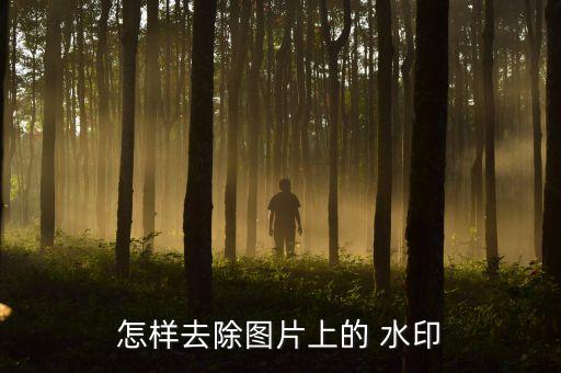 怎樣去除圖片上的 水印