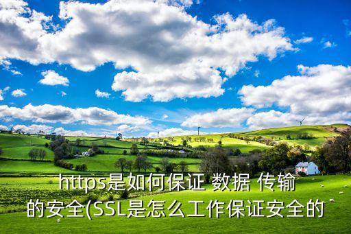 https傳輸數(shù)據(jù)