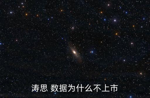 濤思 數(shù)據(jù)為什么不上市