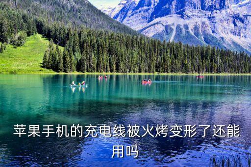 蘋果數(shù)據(jù)線燒