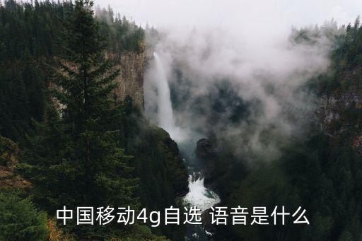 中國(guó)移動(dòng)4g自選 語音是什么
