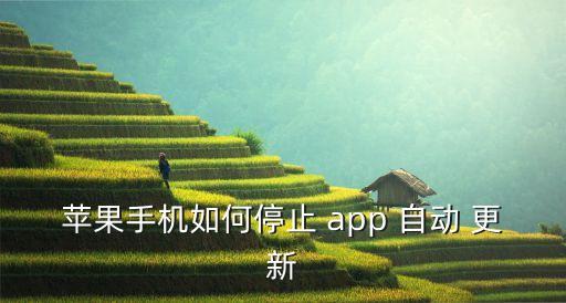 蘋果手機如何停止 app 自動 更新