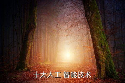 十大人工 智能技術(shù)