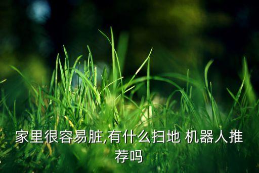 家里很容易臟,有什么掃地 機(jī)器人推薦嗎