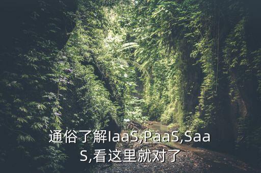 通俗了解IaaS,PaaS,SaaS,看這里就對了