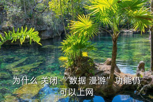 為什么 關(guān)閉“ 數(shù)據(jù) 漫游”功能仍可以上網(wǎng)