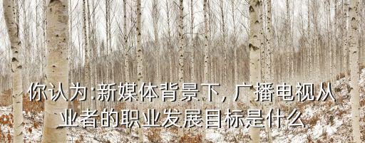大數(shù)據對廣播電視,與廣播電視相關的數(shù)據有哪些