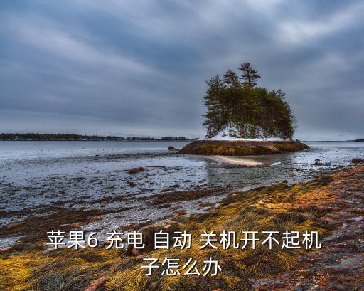  蘋果6 充電 自動(dòng) 關(guān)機(jī)開不起機(jī)子怎么辦