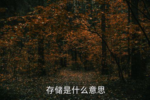  存儲(chǔ)是什么意思