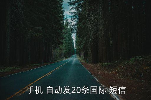  手機 自動發(fā)20條國際 短信