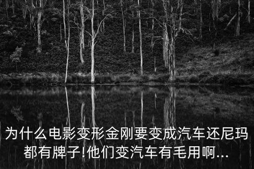 為什么電影變形金剛要變成汽車還尼瑪都有牌子!他們變汽車有毛用啊...